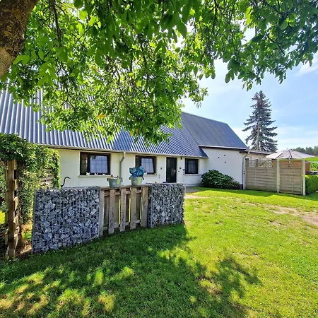Holiday home Ferienhauser Mirow-starsow 8820 *